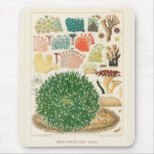 Mousepad Vintage Excelente Barrier Reef of Australia Corals