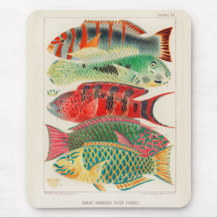 Mousepad Vintage Excelente Barrier Reef of Australia Fishes
