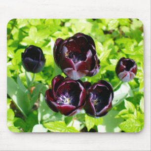 Mousepad Vintage - Foto de Tulipas Negras Roxas Roxas Holan