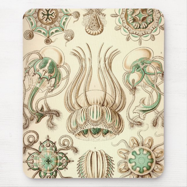 Mousepad Vintage Haeckel (Frente)