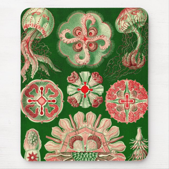 Mousepad Vintage Haeckel (Frente)
