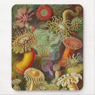 Mousepad Vintage Haeckel Anemone