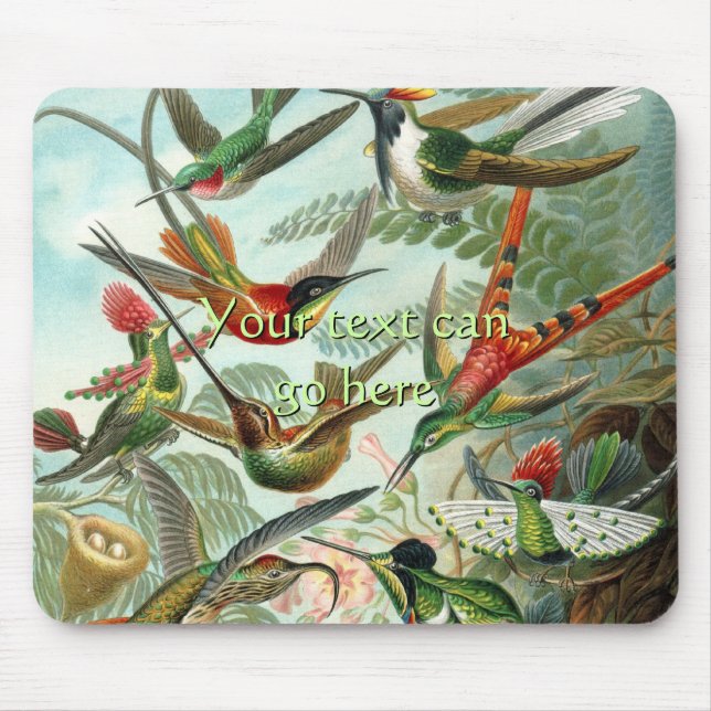 Mousepad Vintage Hummingbird (Frente)