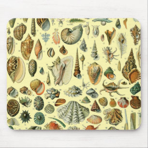 Mousepad Vintage Mollusk Shell Seashell Art