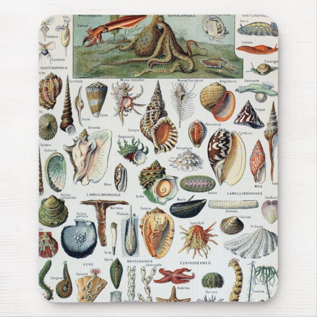 Mousepad Vintage Mollusks (Frente)