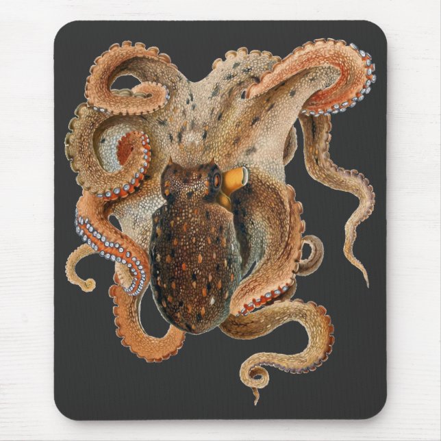 Mousepad Vintage Octopus Vulgaris, Animais da Vida Marinha (Frente)