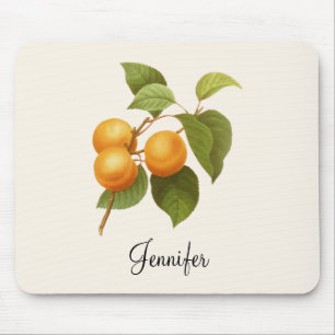 Mousepad Vintage Orange Apricots Desenho De Aquarela