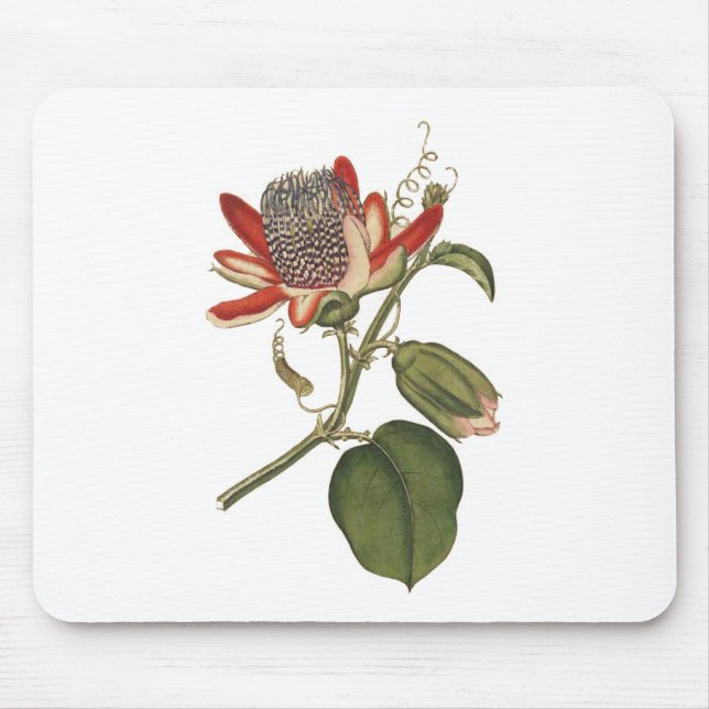 Mousepad Vintage Passion Flower (Frente)