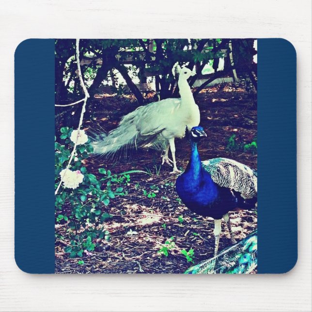Mousepad Vintage Peacocks (Frente)