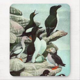 Mousepad Vintage Puffins e Aves Aquáticas de Louis Fuertes