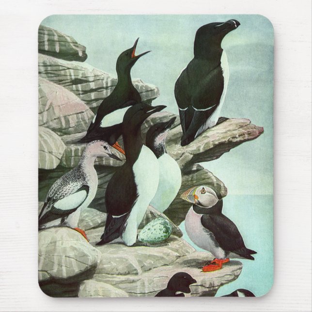 Mousepad Vintage Puffins e Aves Aquáticas de Louis Fuertes (Frente)