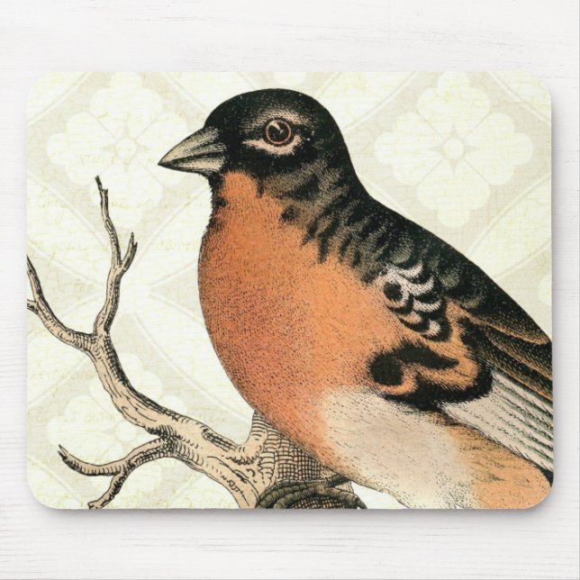 Mousepad Vintage Robin (Frente)
