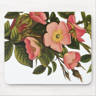 Mousepad Vintage Rosas Belos Botânicos Rosa