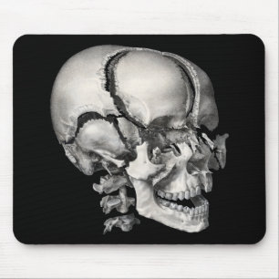 Mousepad Vintage Science Anatomia Humana, Crânio Antiquado