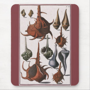 Mousepad Vintage Seasheles, Vida Marinha, Conchas Marítima