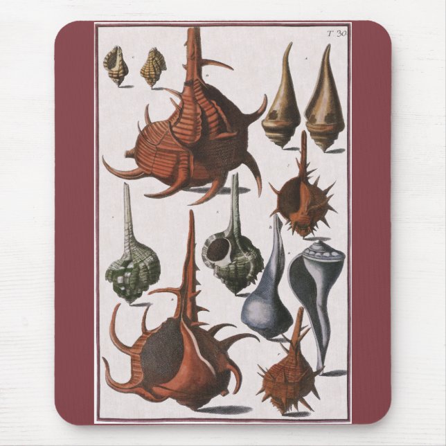 Mousepad Vintage Seasheles, Vida Marinha, Conchas Marítimas (Frente)