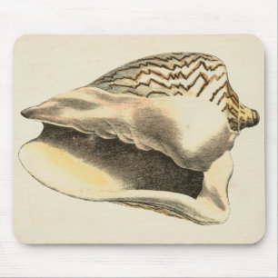 Mousepad Vintage Sepia Conch Shell