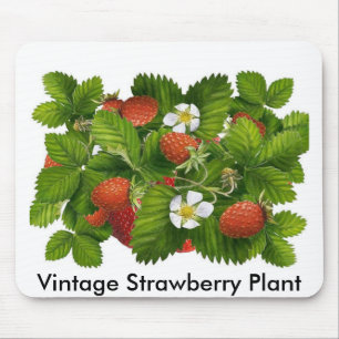Mousepad Vintage Strawberry Plant