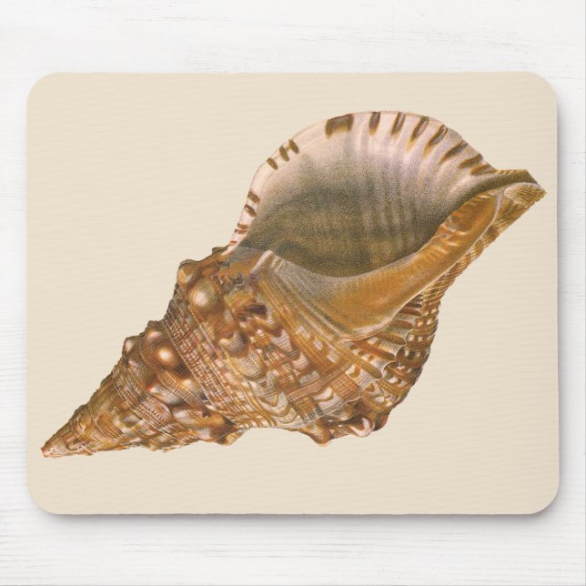 Mousepad Vintage Triton Seashell Shell, Marine Ocean Animal (Frente)