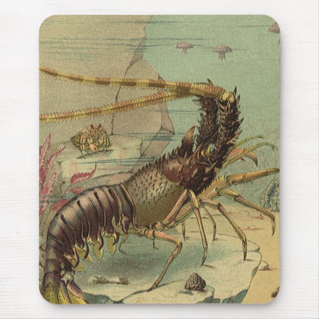 Mousepad Vintage Underwater Sea Life, Animais no Oceano (Frente)