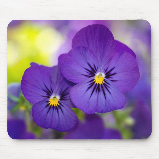 Mousepad Violas roxas (Frente)