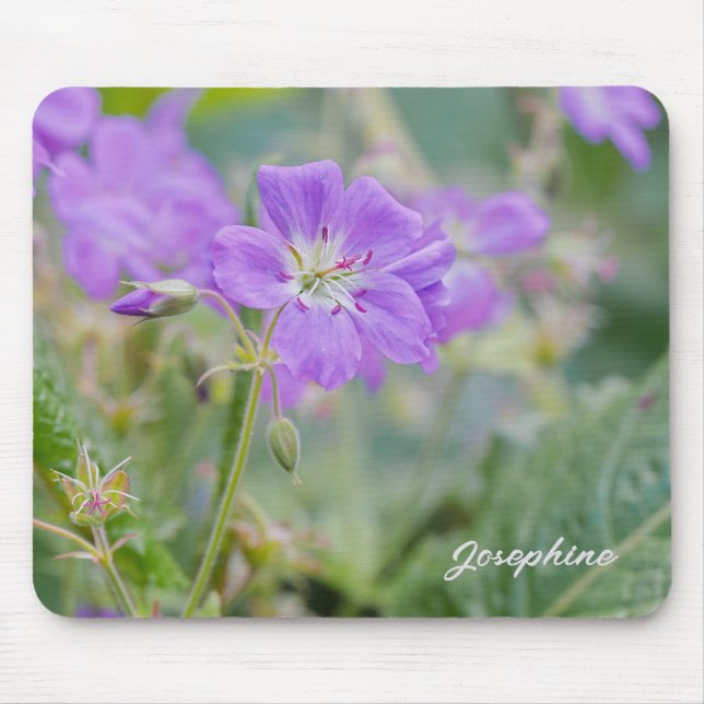 Mousepad Violet Geranium Wildflower Photo Com Nome (Frente)