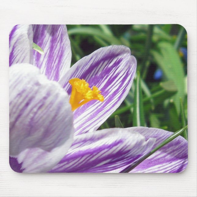 Mousepad Violet primavera crocus (Frente)