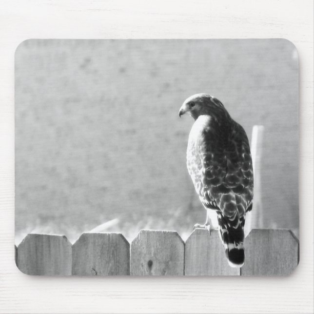 Mousepad Visitante do quintal (Frente)