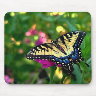 Mousepad Visitante do verão