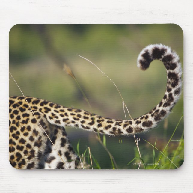 Mousepad Vista da cauda do Leopardos (Panthera pardus), (Frente)