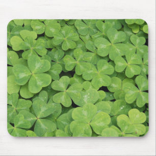 Mousepad Vista da folhagem de Oxalis Oregana Sorrel de made