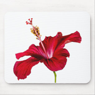 Mousepad Vista do Lado do Flor Red Hibiscus
