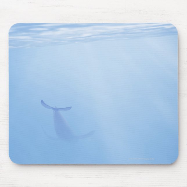 Mousepad Vista submarina da baleia (Frente)