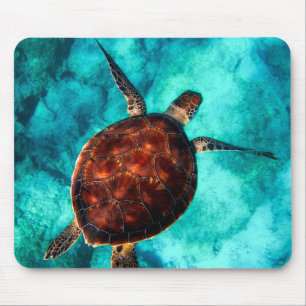 Mousepad Vista Superior da Tartaruga do Mar