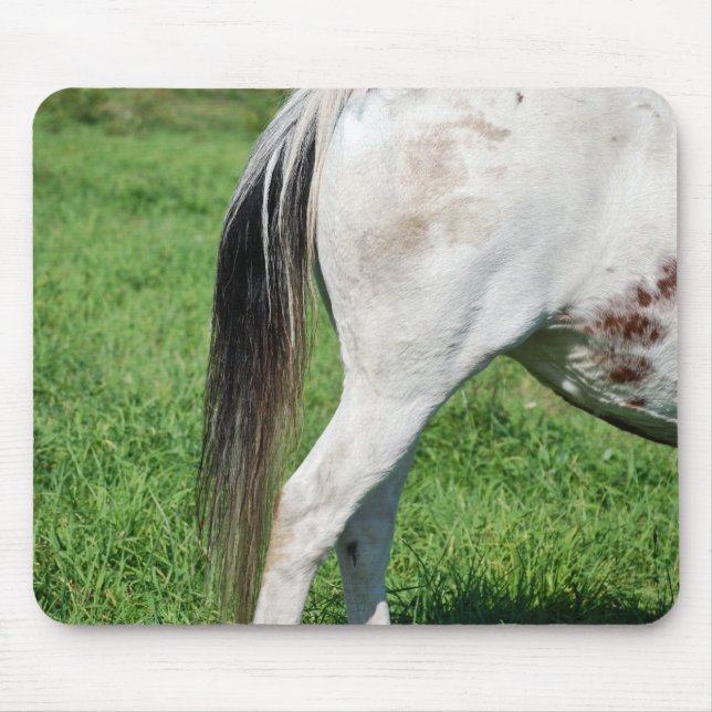 Mousepad Vista traseira (Frente)