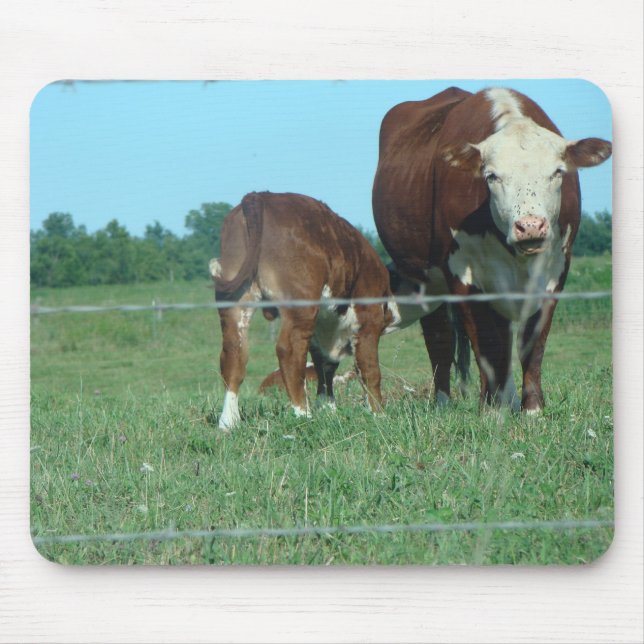 Mousepad Vitela dos cuidados (Frente)