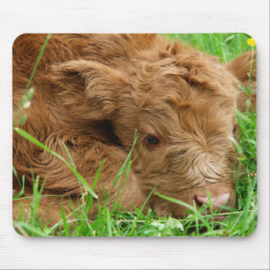 Mousepad Vitelo da Escócia Highland
