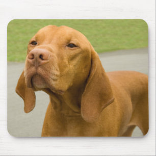 Mousepad Vizsla