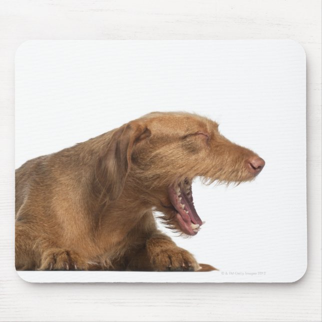 Mousepad Vizsla boiando em frente ao fundo branco (Frente)