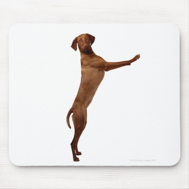 Mousepad Vizsla Dog (Frente)