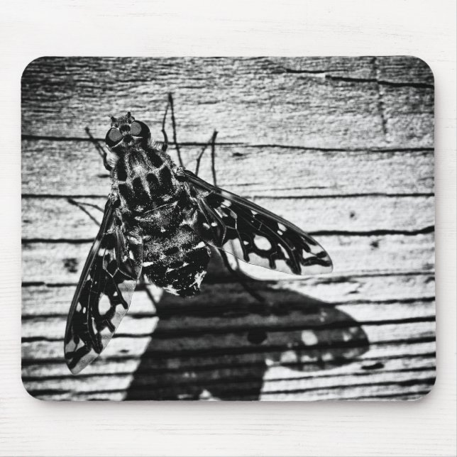 Mousepad volta (Frente)