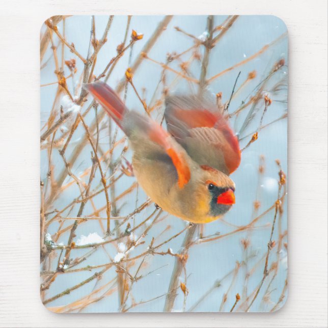 Mousepad Voo Cardinal do norte - Fotografia Original (Frente)