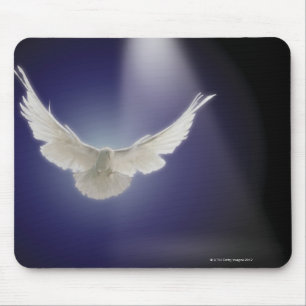 Mousepad Vôo da pomba através do feixe de luz