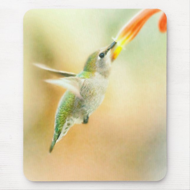 Mousepad Voo de beija-flor cedo (Frente)