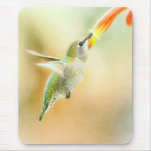 Mousepad Vôo do amanhecer do colibri