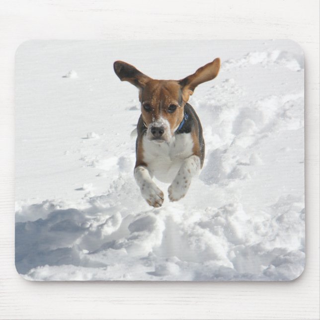 Mousepad Vôo do lebreiro na neve (Frente)