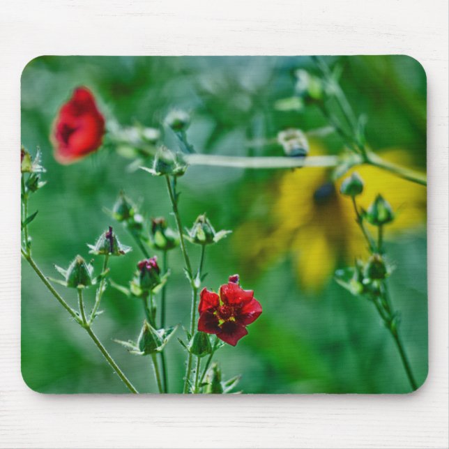 Mousepad Voo no Jardim (Frente)