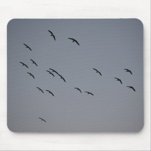 Mousepad Voo noturno