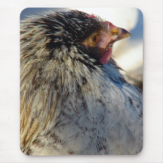 Mousepad Vote O Frango (Frente)