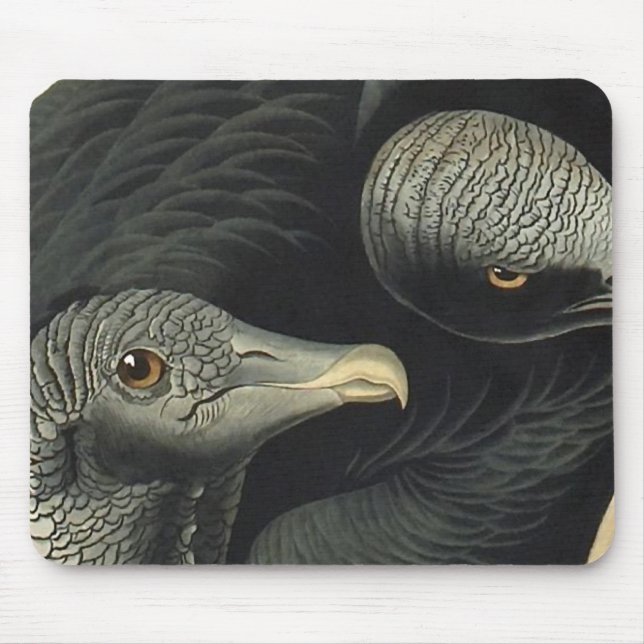 Mousepad Vultos Pretos, John James Audubon (Frente)